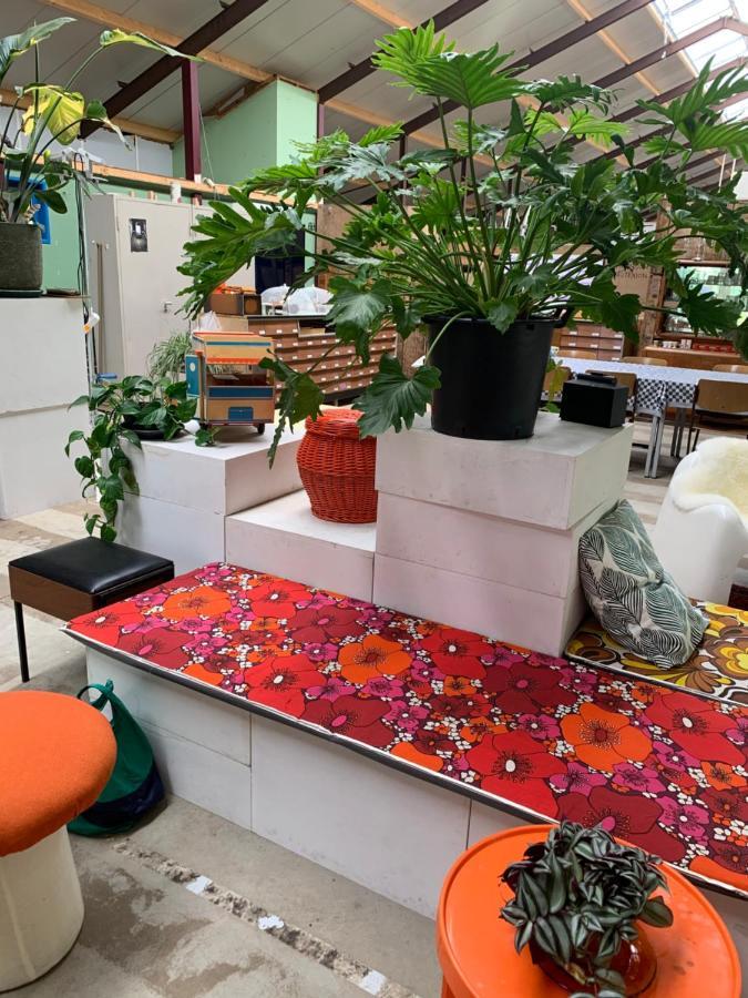 Het Lage Noorden Bed & Breakfast Marrum Dış mekan fotoğraf