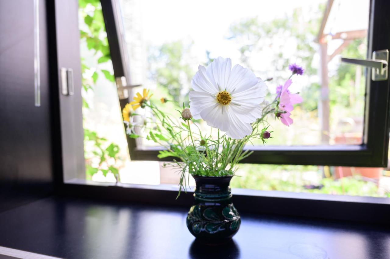 Het Lage Noorden Bed & Breakfast Marrum Dış mekan fotoğraf